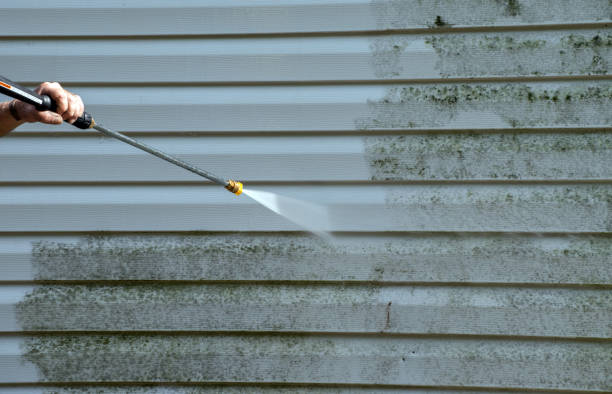Best Sidewalk and Walkway Cleaning  in The Pinery, CO